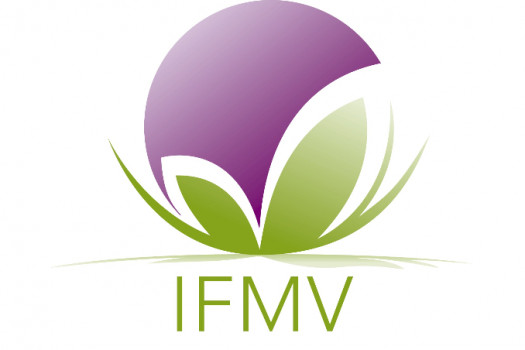 ecole IFMV